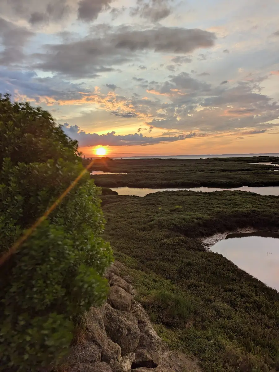 Coucher de soleil sur les prés salés du bassin d'Arcachon